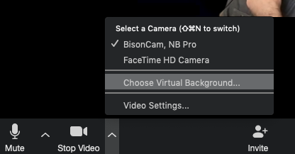 choose virtual background in Zoom